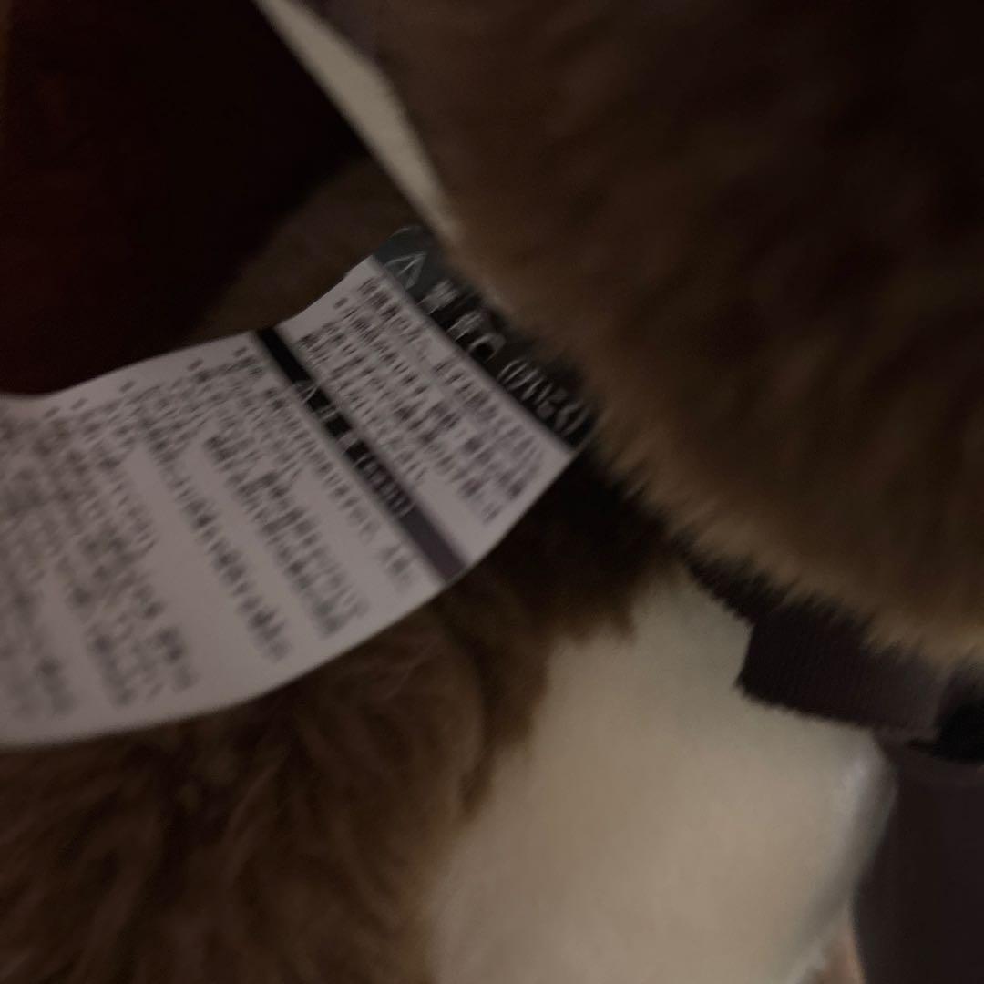 Cuddly Brown テディベア 日本製