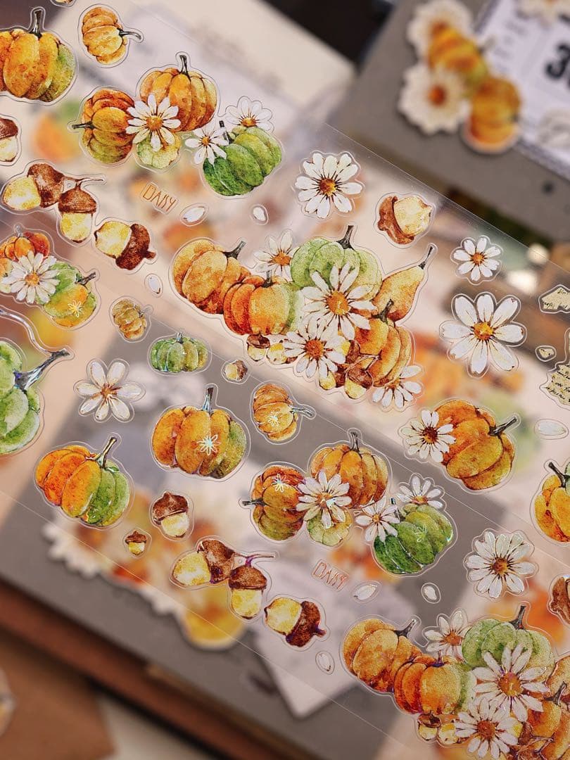 ⭐️SALE⭐️小白家文創《南瓜派》海外マスキングテープ マステ 【2747】