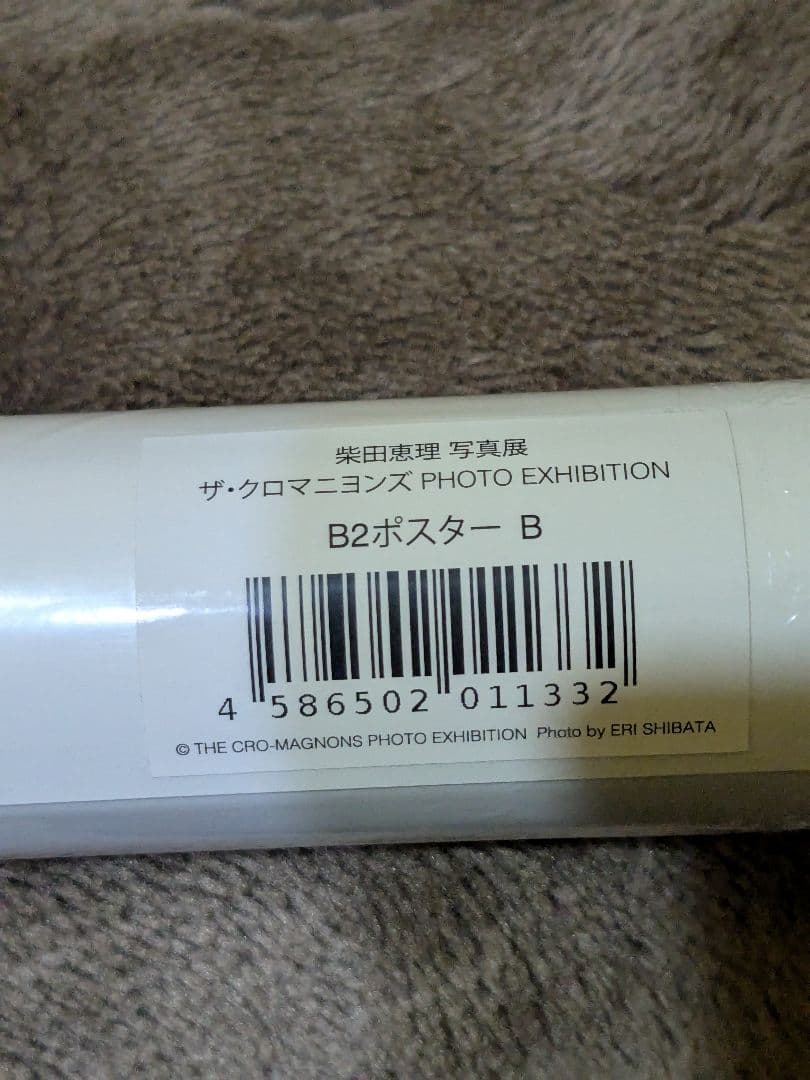 クロマニヨンズ ポスター 柴田理恵写真展