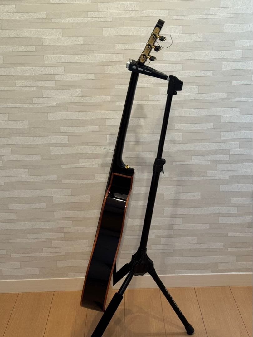 ギター aNueNue/aNN-LN77E