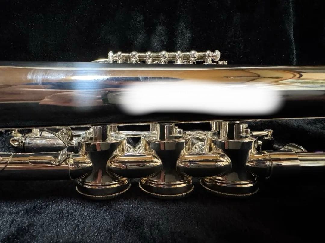 Schagerl Wien Heavy C ロータリートランペット