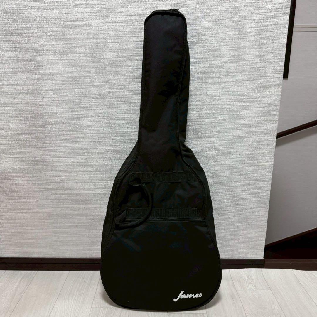 エレアコ アコースティックギター James JE450 ジェームス