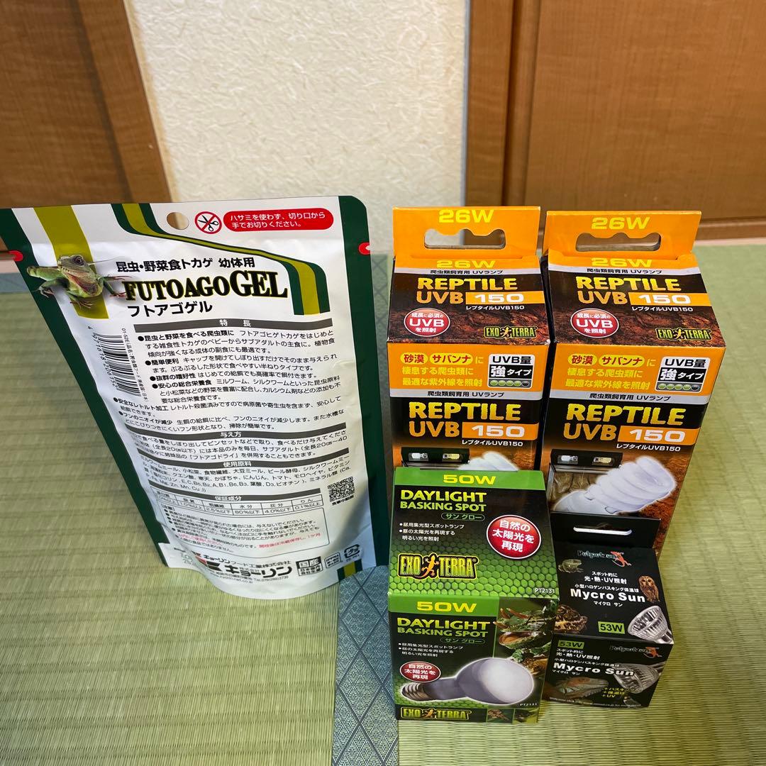 knskさん専用 グラステラリウムは、付属されません。 爬虫類ライト等　一式