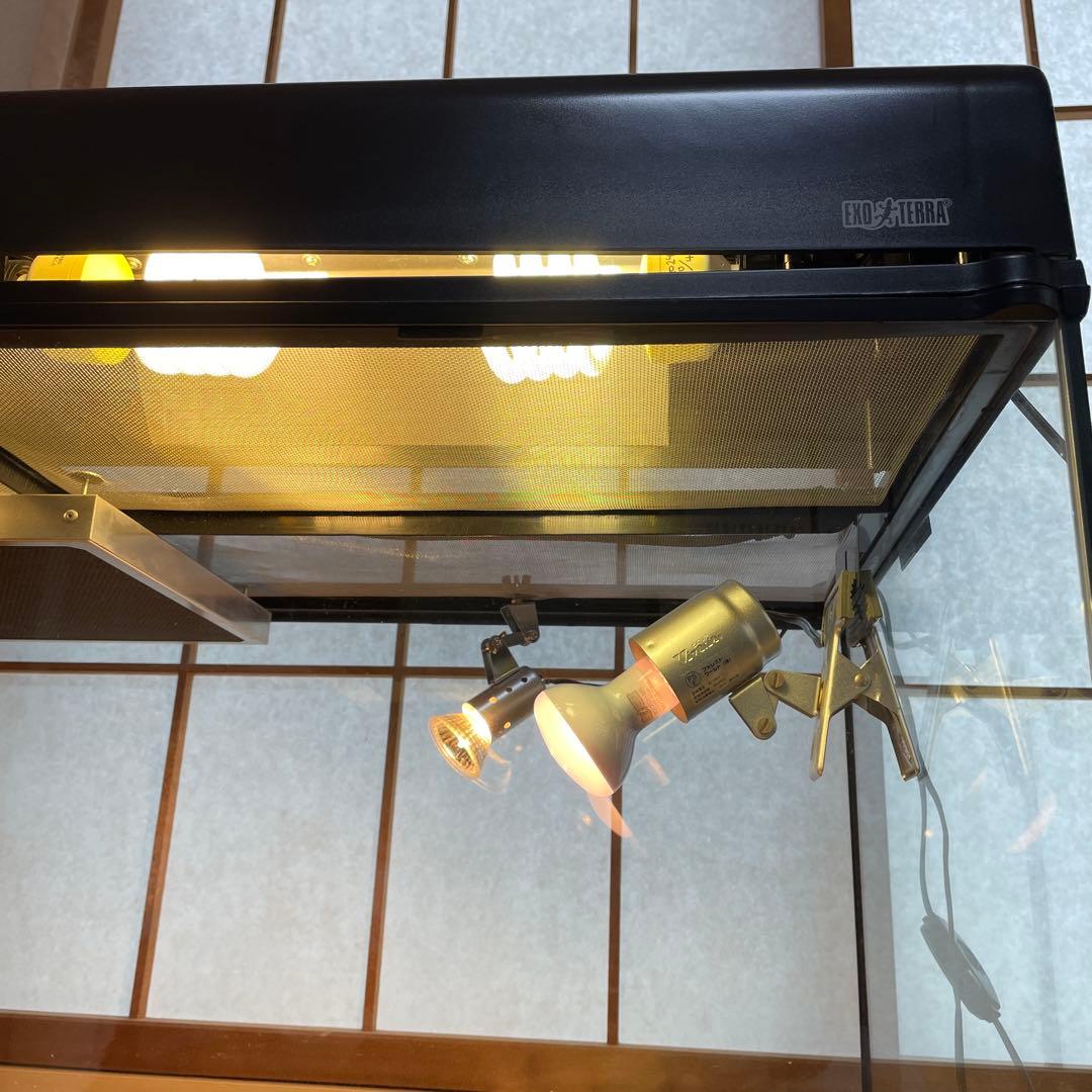 knskさん専用 グラステラリウムは、付属されません。 爬虫類ライト等　一式