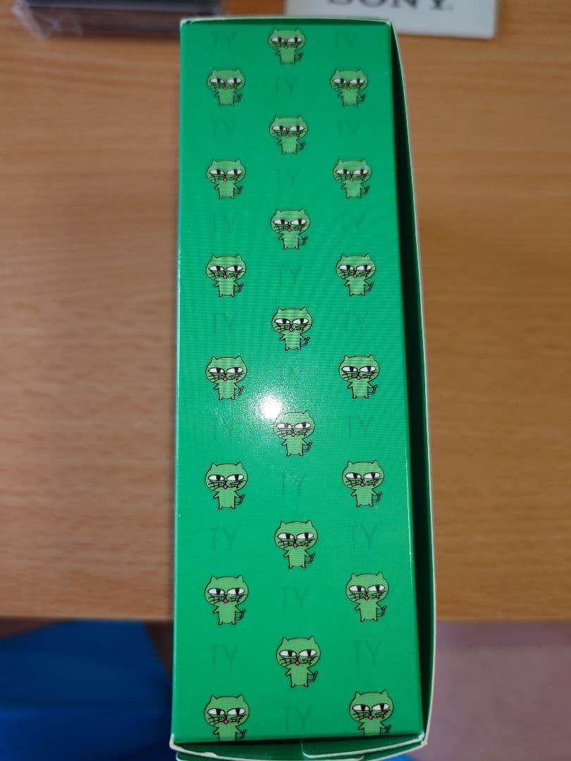 【新品・未使用】ウォークマン オクキャットコラボ 2PM テギョン 公式グッズ