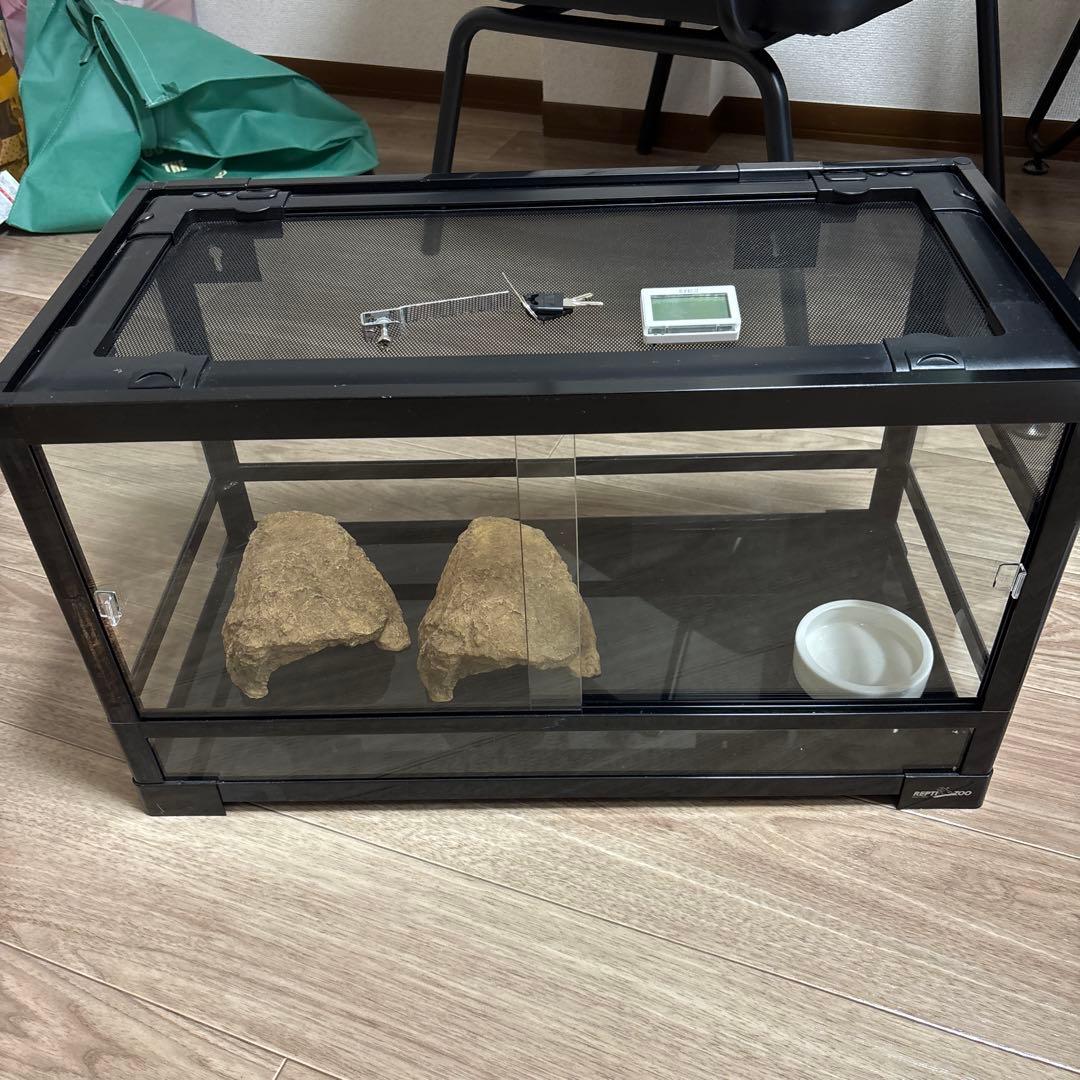 REPTI ZOO パンテオン6035