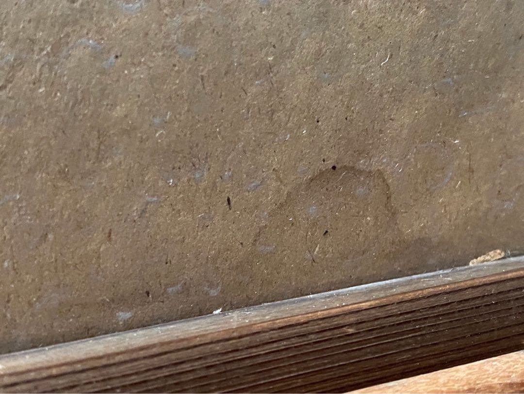 風前美人図 懐月堂安度 江戸期 当時物 希少 インテリア 額縁