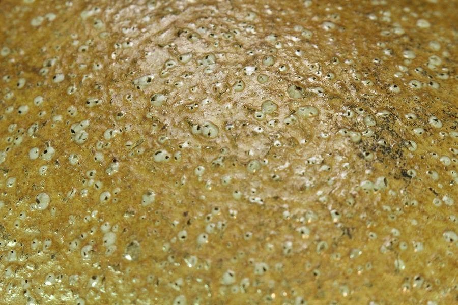 古い 信楽 茶壷 六古窯(K-XA846)