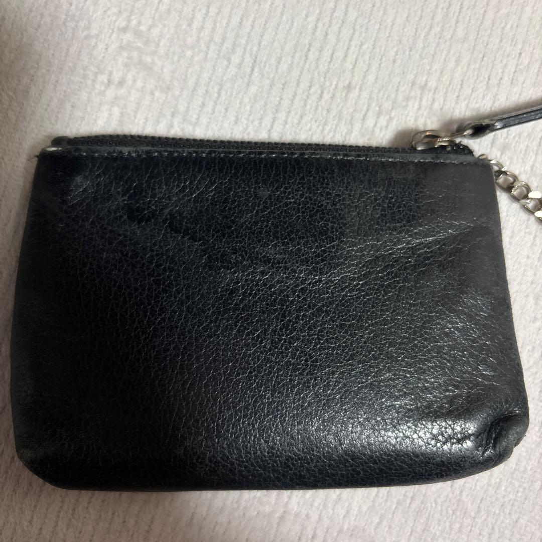 シャネル　ココカメリア　ケース