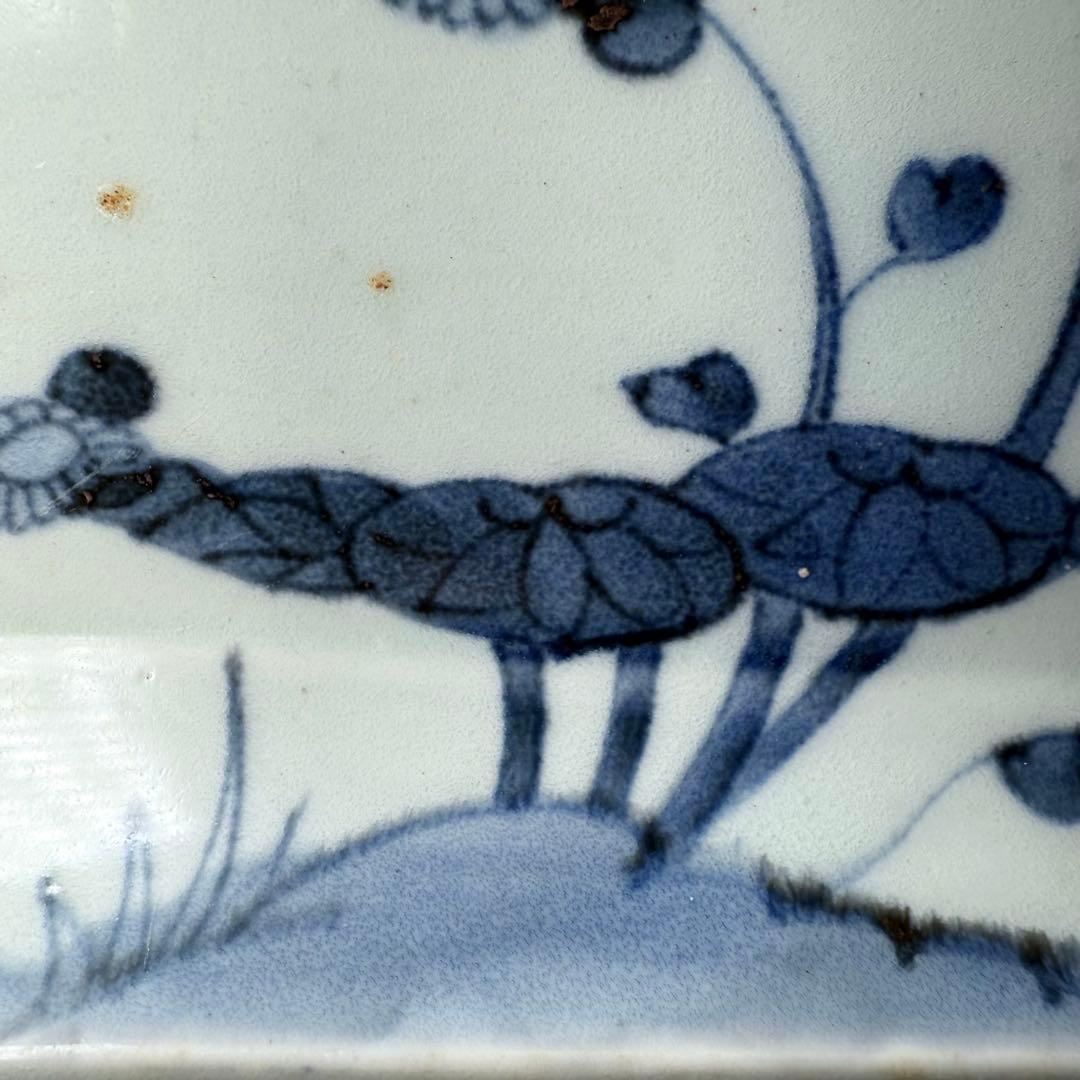 古伊万里　染付芙蓉文様長皿　五客　成化年製　江戸後期　料理屋　花草文様　裏文様有