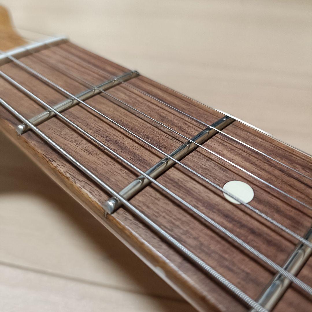 yang brothers ナッシュビルテレキャスター