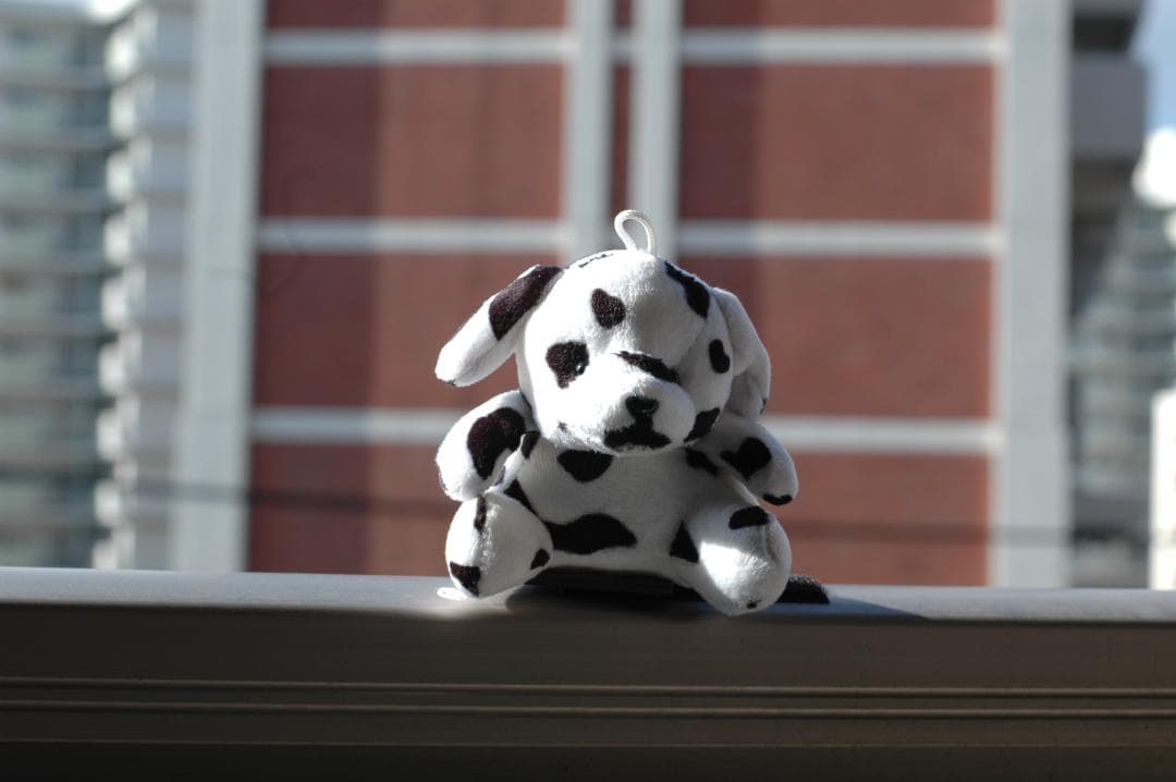 【外観・光学超美品・動作確認】Nikon AF NIKKOR 50mm F1.4