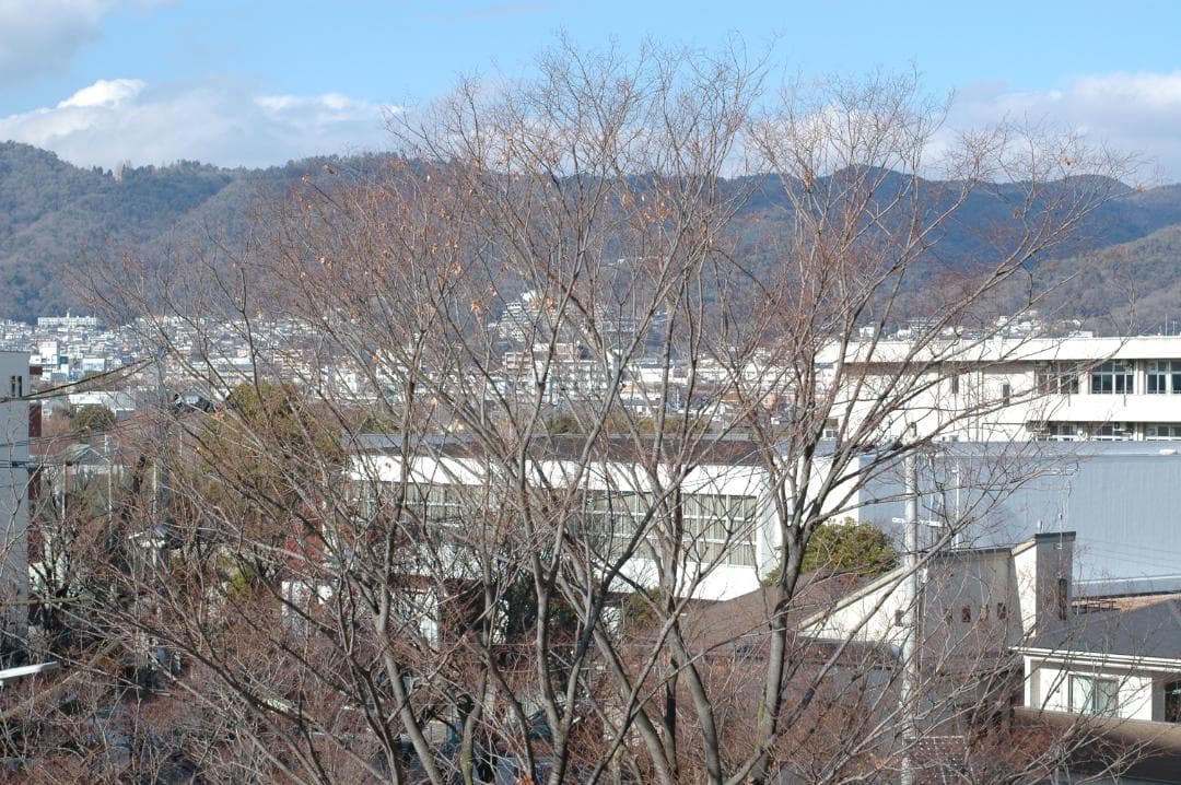 【外観・光学超美品・動作確認】Nikon AF NIKKOR 50mm F1.4