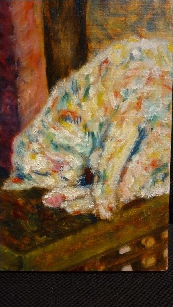 おみくじ台の猫