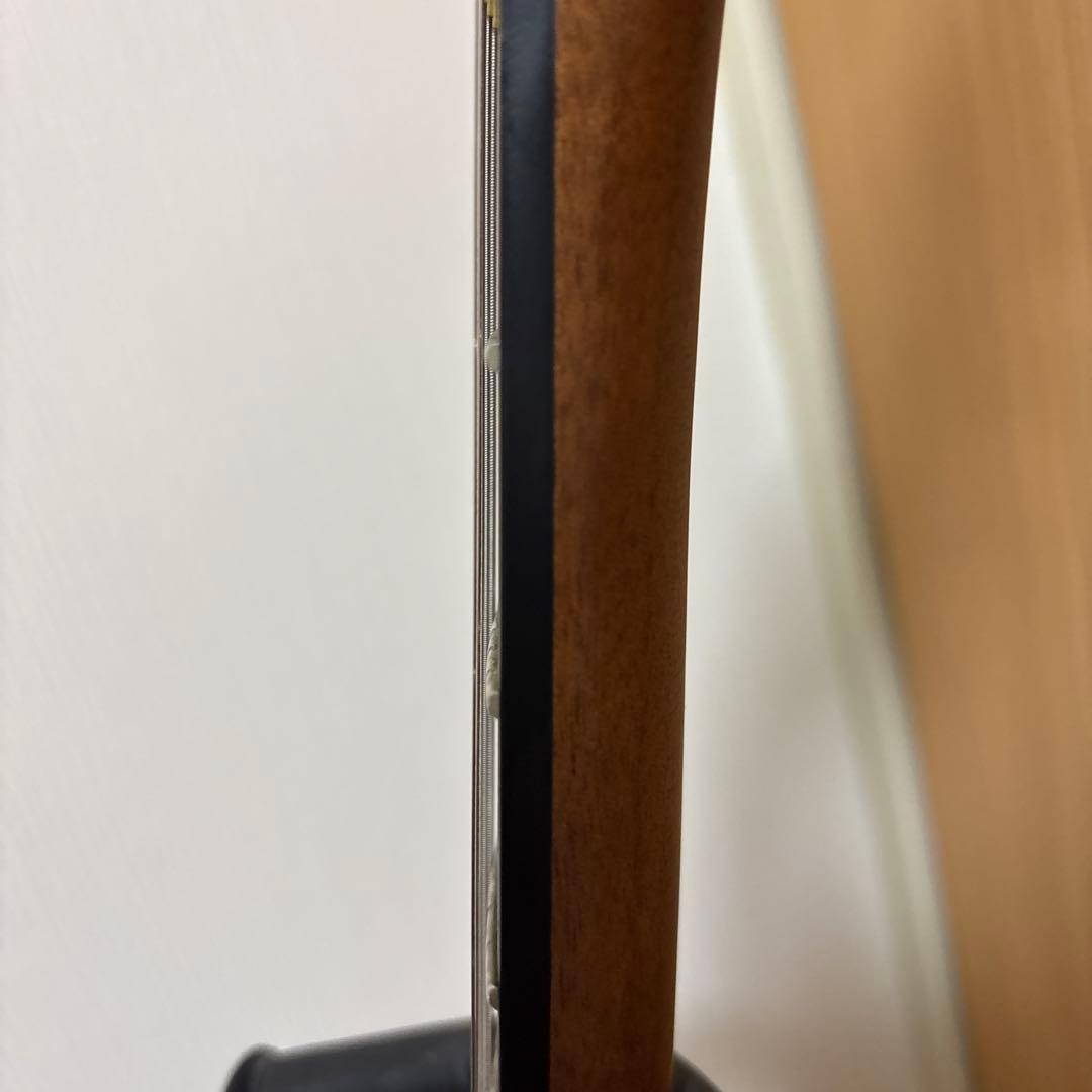 Epiphone. SGタイプ