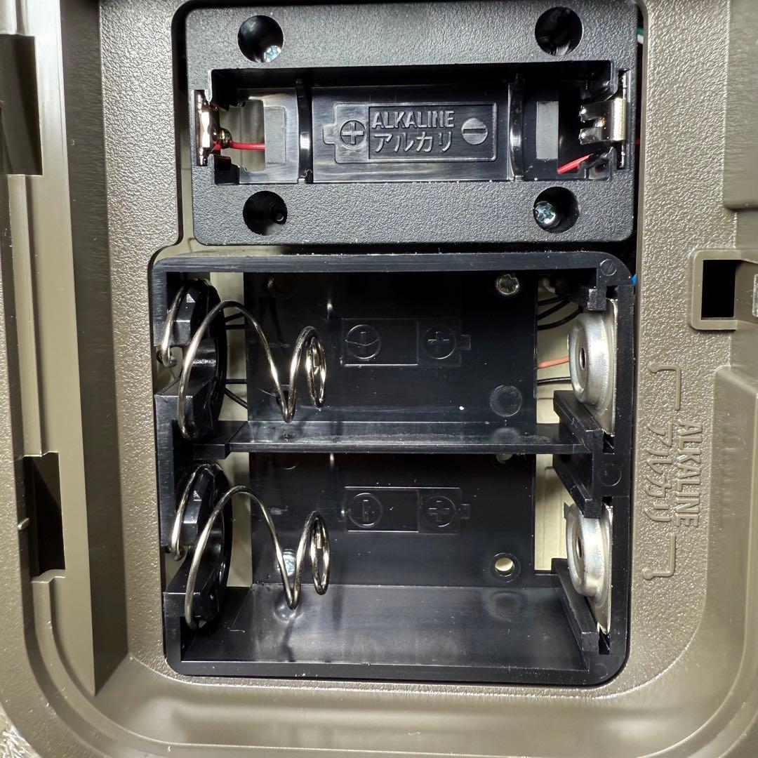 SEIKO 掛時計　電波からくり掛時計 RE579B