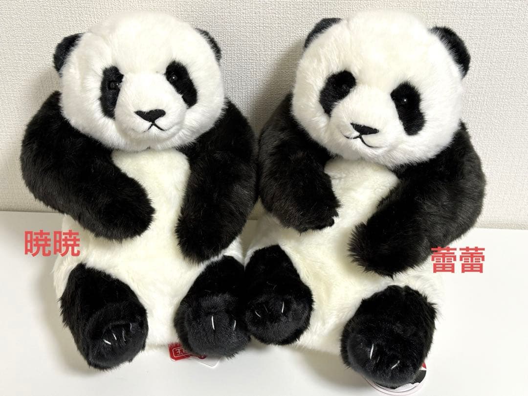 上野動物園 パンダ ぬいぐるみ抱っこ 暁暁 蕾蕾 シャオシャオ レイレイ　吉徳