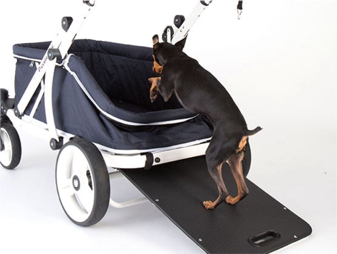 【Piccolo Cane】ピッコロカーネ CREA クレア