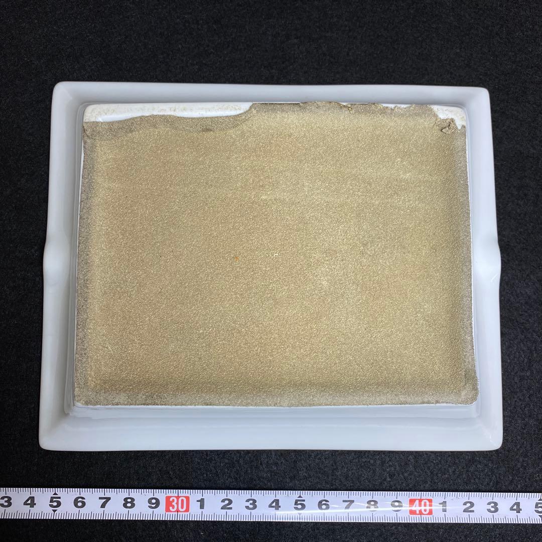 エルメス　金彩　黒地馬アッシュトレイ　トヒオ　東里7-1210☆1F