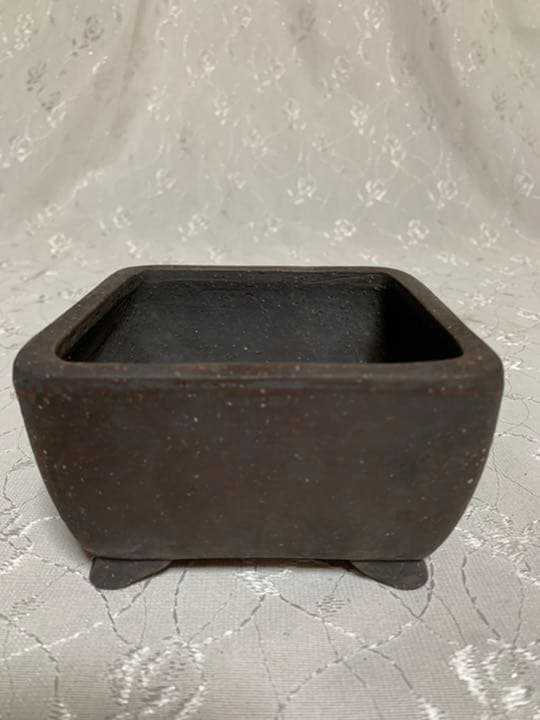 佳山　盆栽鉢　正方