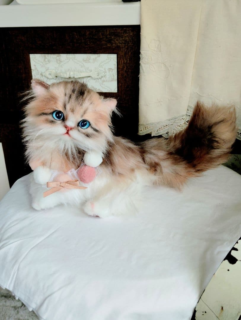 ラピちゃん御予約❤️美人ちゃん❤ブラウンタビーミヌエット子猫ちゃん❤アートドール