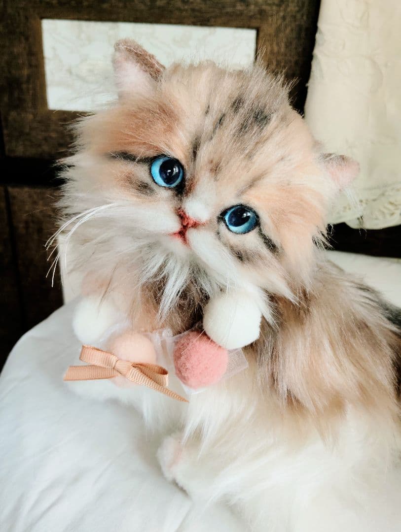 ラピちゃん御予約❤️美人ちゃん❤ブラウンタビーミヌエット子猫ちゃん❤アートドール