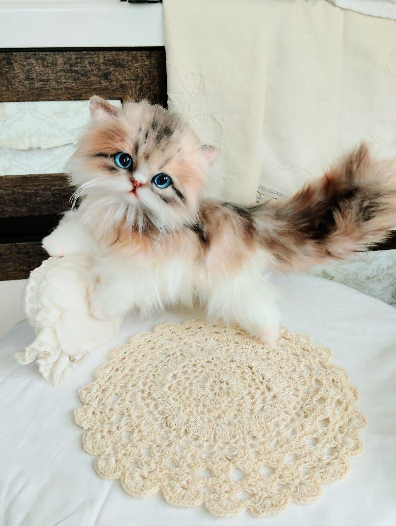 ラピちゃん御予約❤️美人ちゃん❤ブラウンタビーミヌエット子猫ちゃん❤アートドール