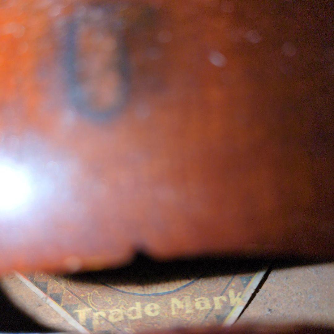 バイオリン本体　オーストリア　楽器