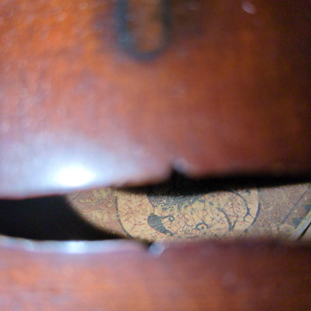 バイオリン本体　オーストリア　楽器