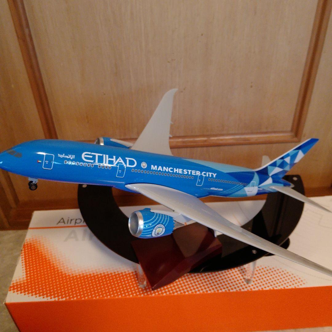 はるぽよさん専用 B787 マンチェスターシティー2