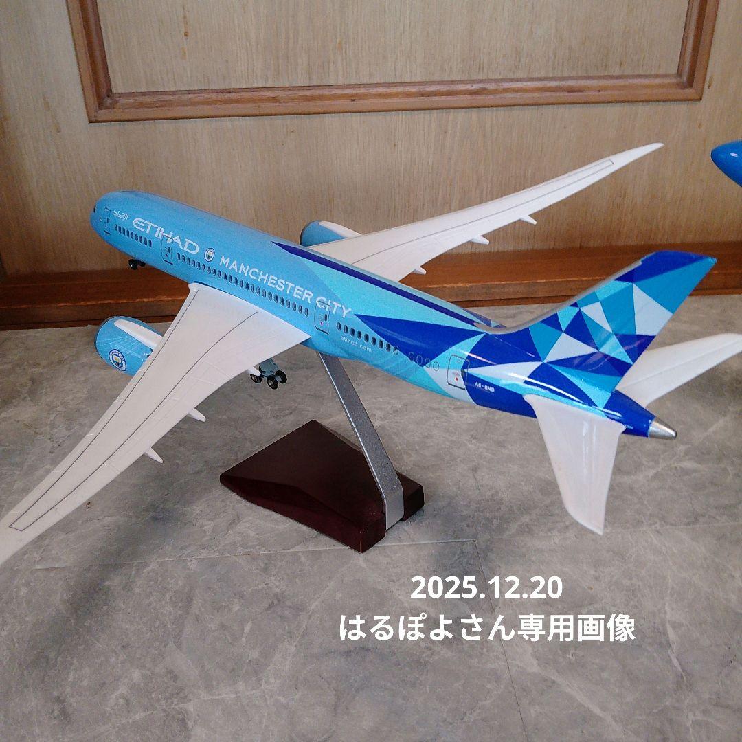 はるぽよさん専用 B787 マンチェスターシティー2