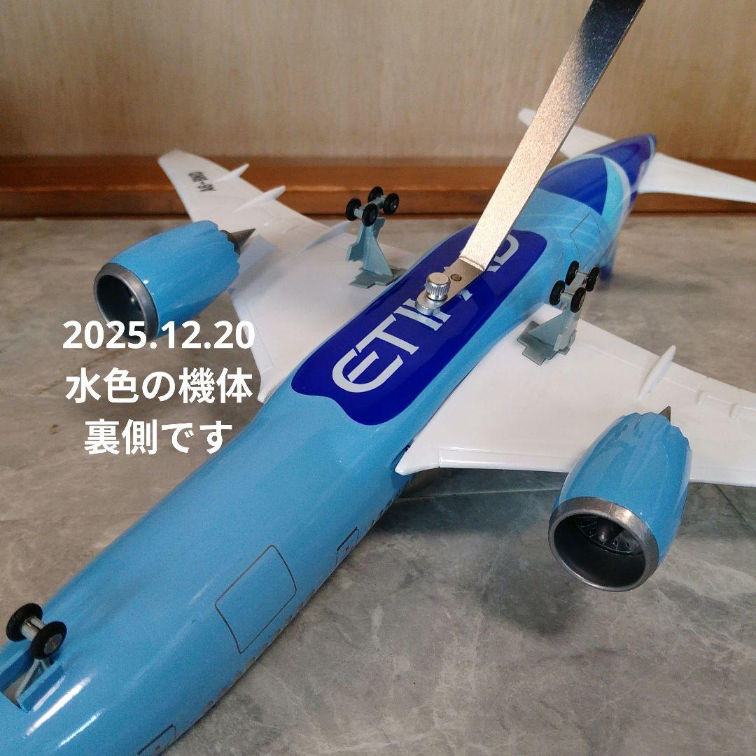 はるぽよさん専用 B787 マンチェスターシティー2