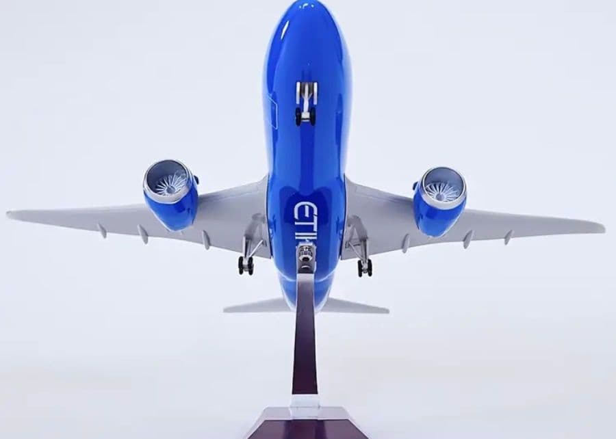 はるぽよさん専用 B787 マンチェスターシティー2