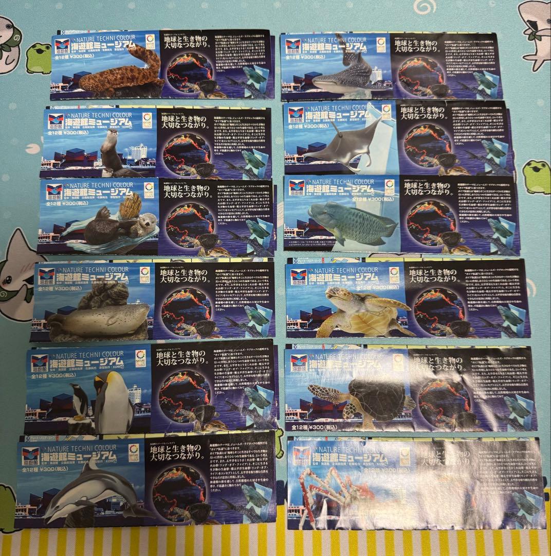 海遊館ミュージアム フルコンプ リーフレット付