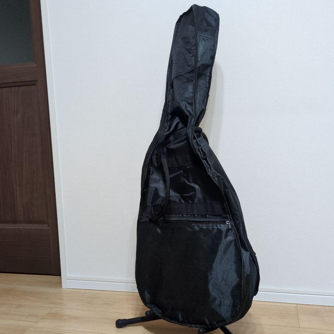 Blitz by Aria Pro ii SGタイプ