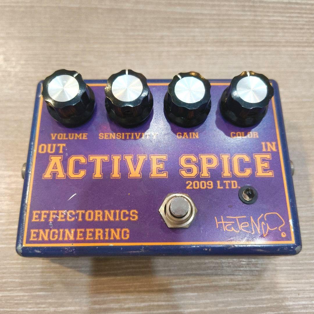 ギター ACTIVE SPICE (2009 Limited) / HaTeNa?