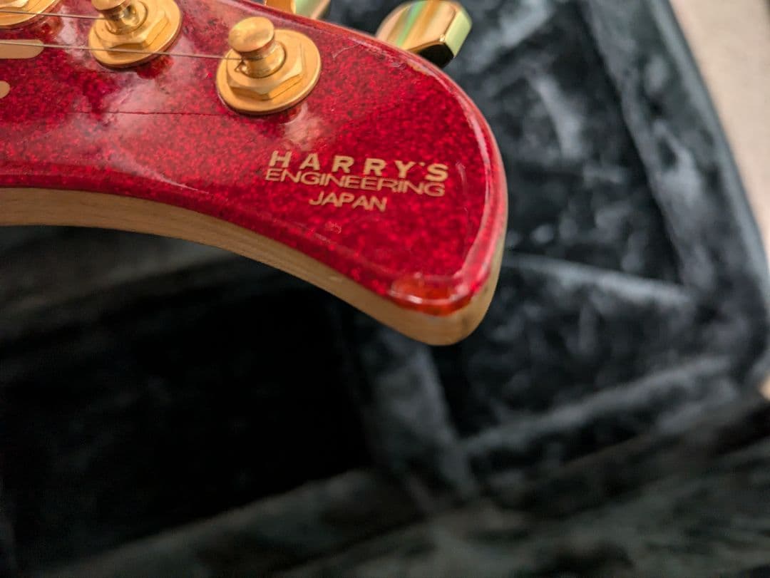 ギター Dragonfly HI STA Full Size 666