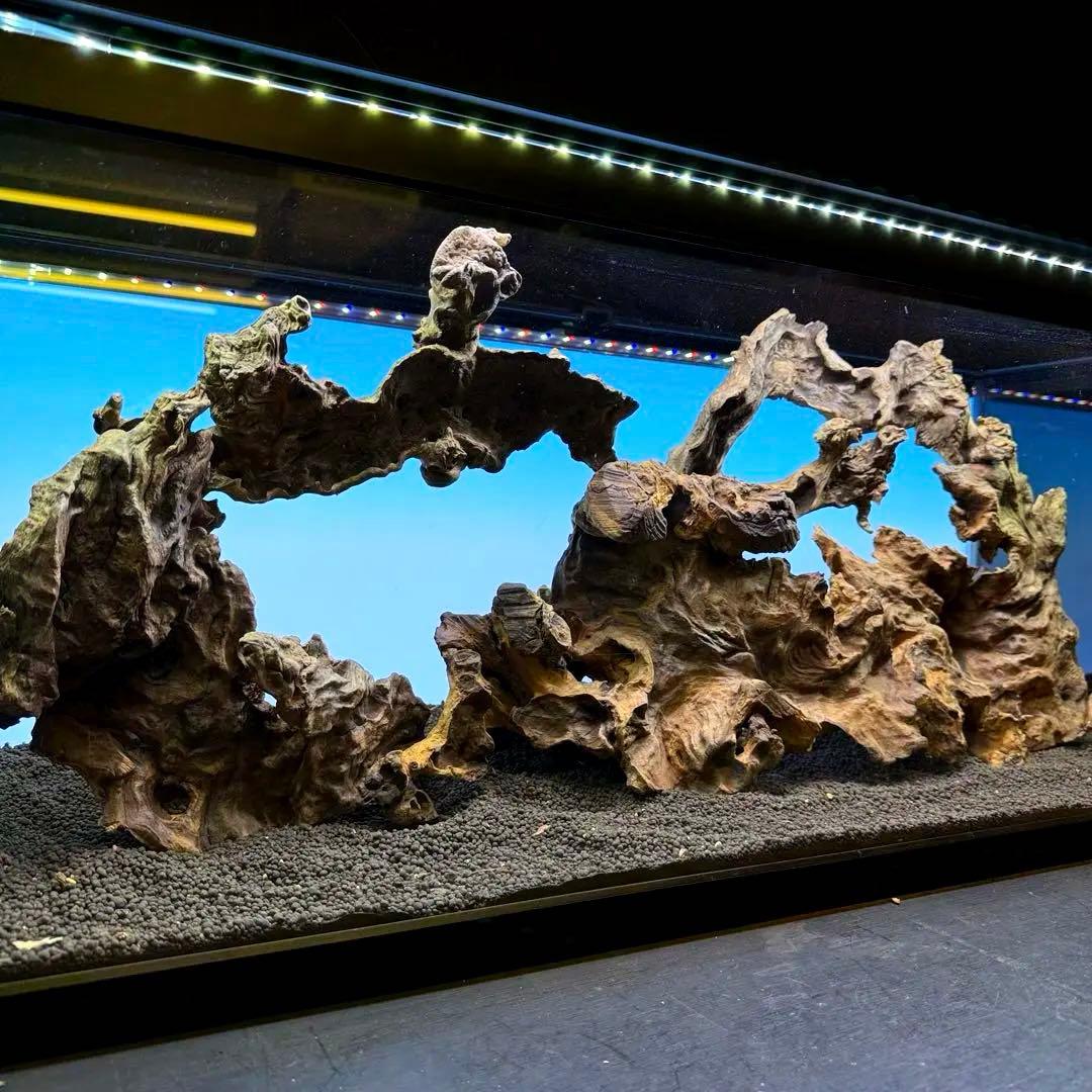 MJW-7214 「特大」ジンジャーウッド　90cm水槽用　天然流木4本セット