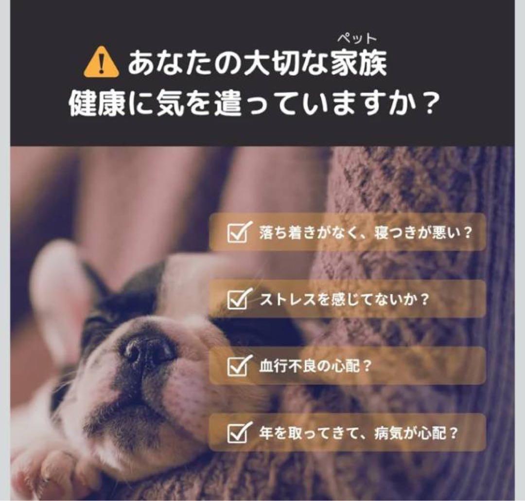 ZAAP Pemily 医療機器搭載　ペット用ネックレス　首輪