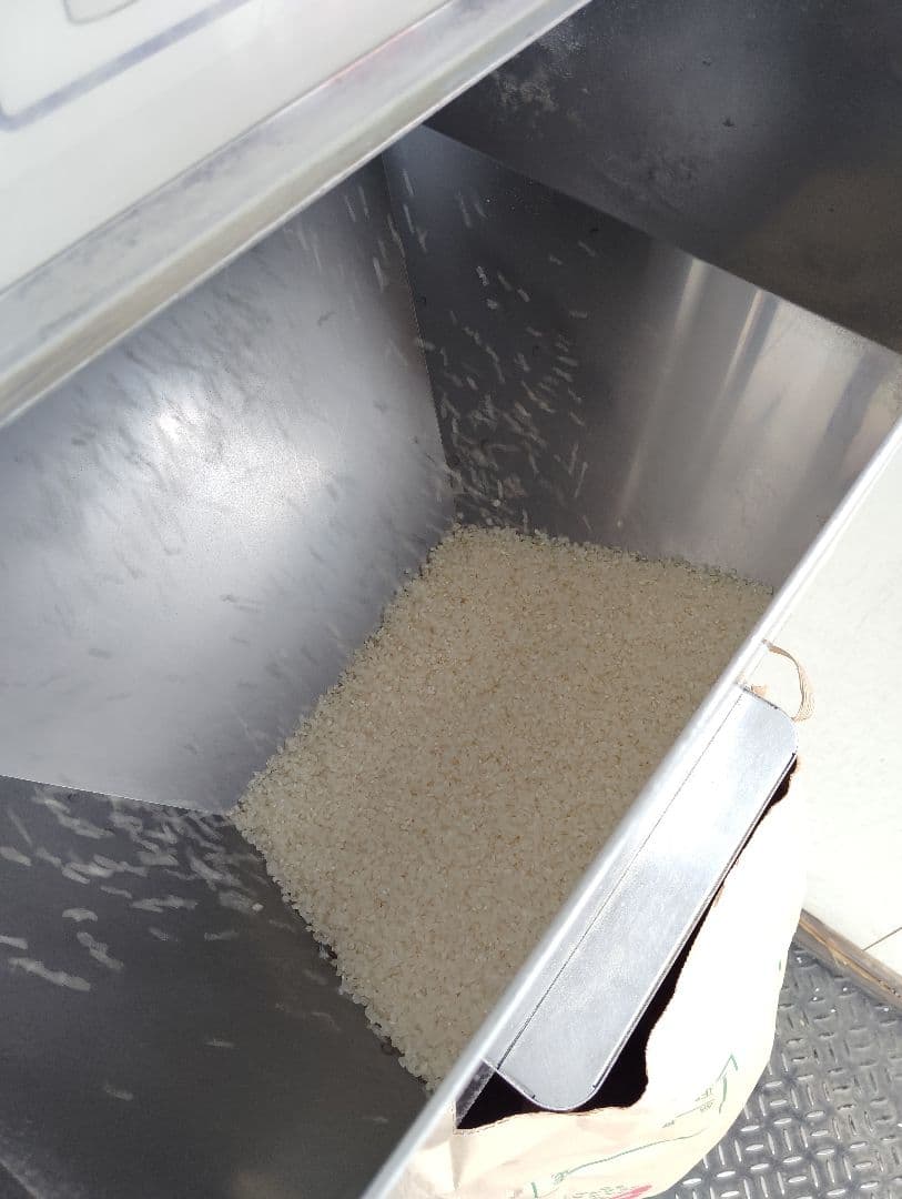 信州産コシヒカリ10㎏(精米済・令和6年収獲) タケノコご飯用筍3本付き