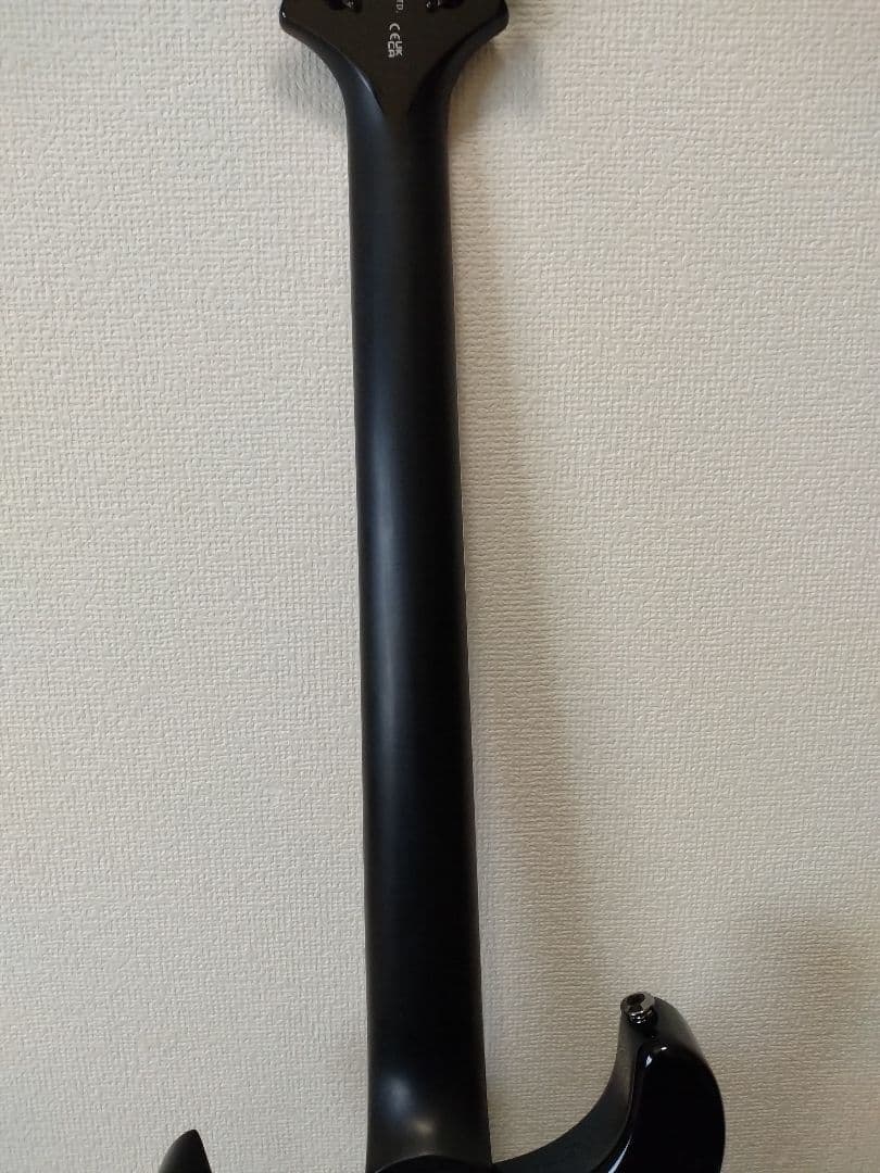 ギター PRS SE Mark holcom