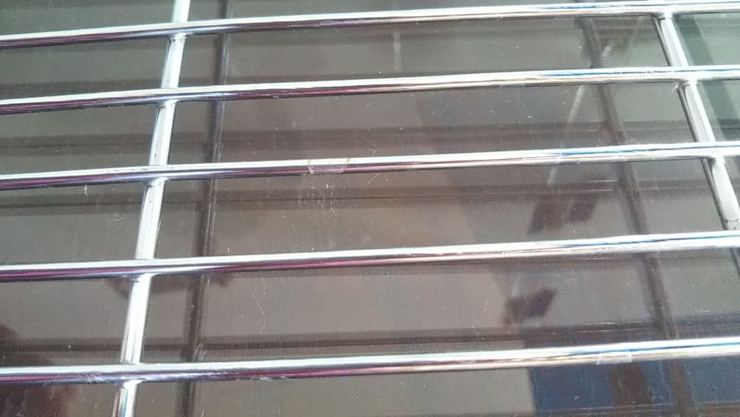 アクリル製キャリーケース L　大型インコ、オウム　バードモア