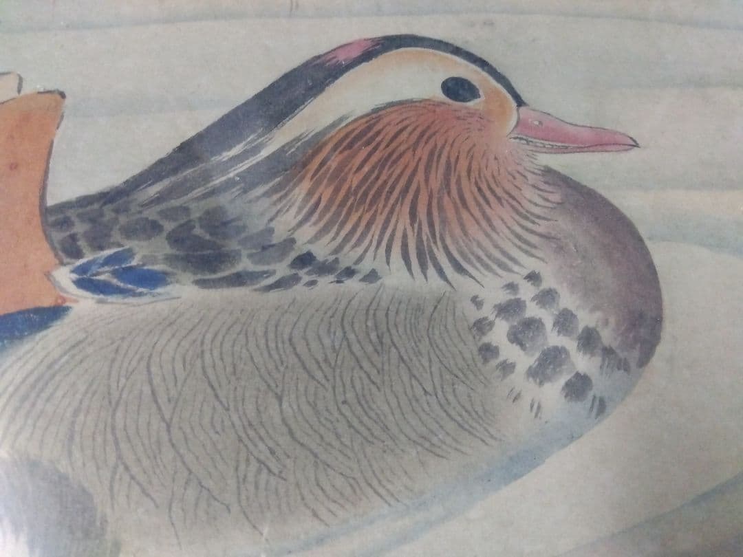 日本画 鴨の絵 黒色フレーム付き