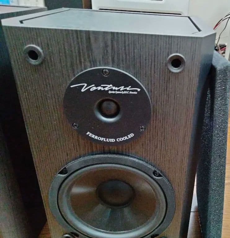 【Pro Cableさんおすすめ】BIC DV62si（中古）