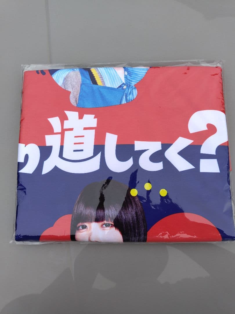 BOOKOFF限定 あのちゃん どデカバスタオル&エコバッグ 2点セット