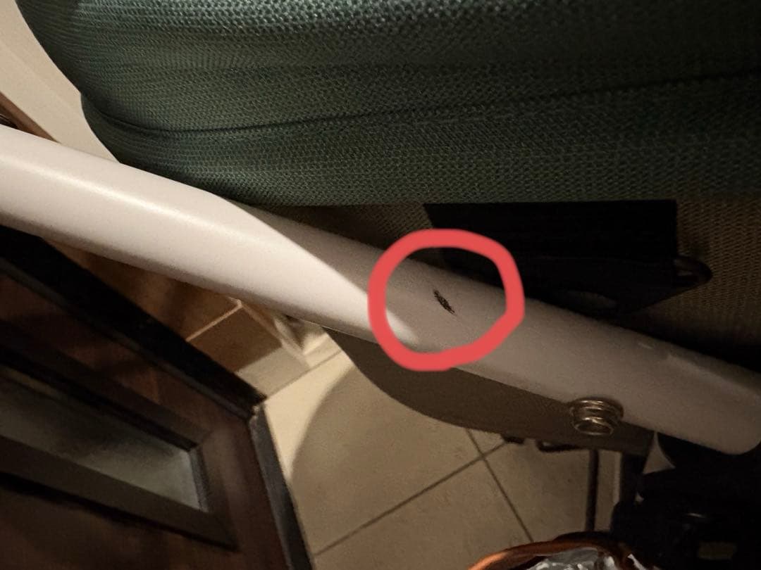 【本日限定価格】AIRBUGGY　DOME3 ラージ ペットカート クローバー