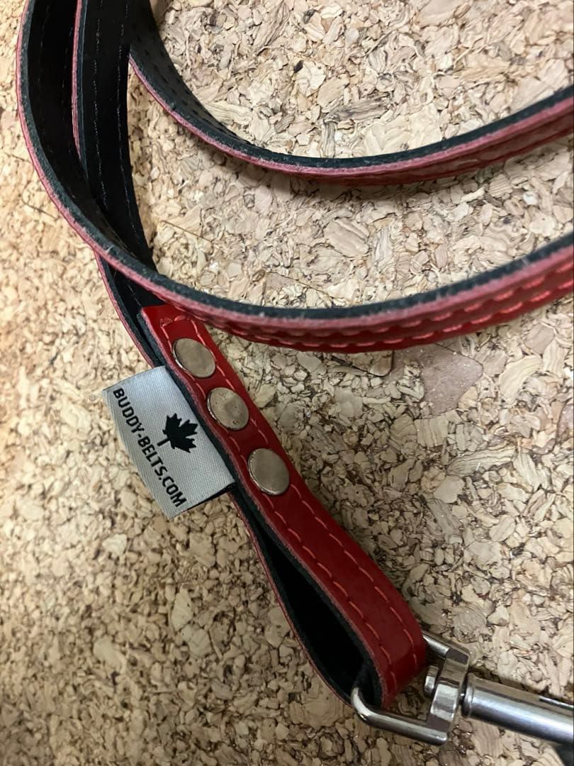 BUDDY BELT エナメルレッド 限定 3.5 ハーネス＋リードSセット
