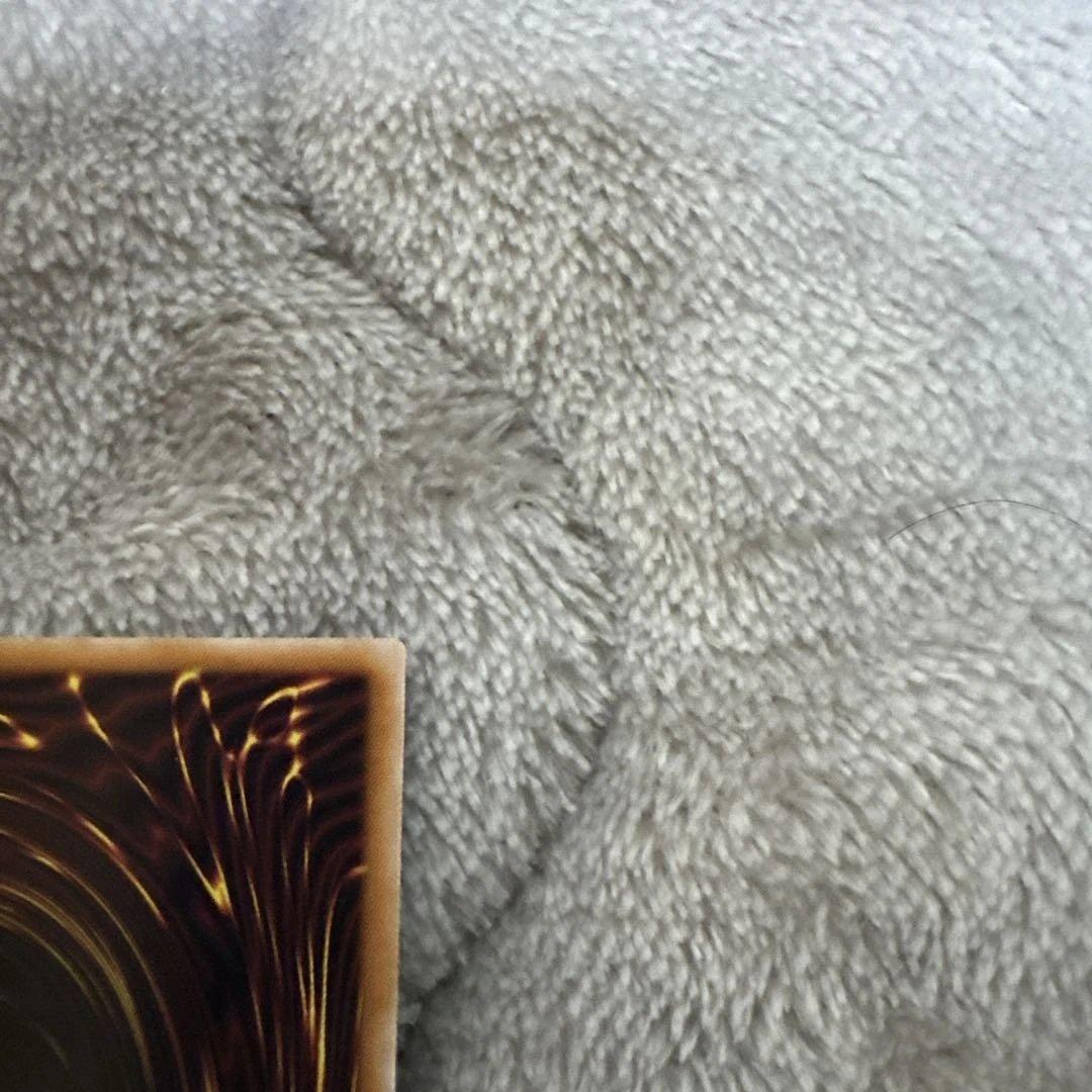 遊戯王 The Fallen & The Virtuous プリシク ローダー付