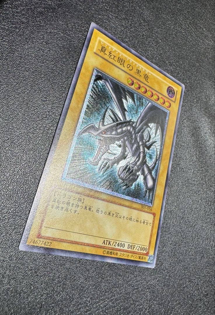 【親知らず】 レッドアイズブラックドラゴン/真紅眼の黒竜/ 遊戯王/レリーフ