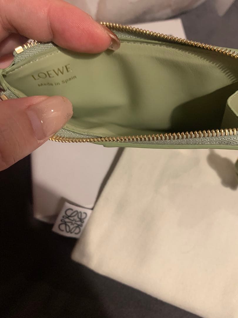 期間限定セール⭐︎LOEWE ロエベ　ライトグリーン カードケース